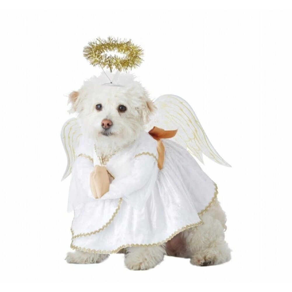 Heavenly Hound Dog Angel Costume -SMALL - Halloween Christmas - Picture 3 of 4